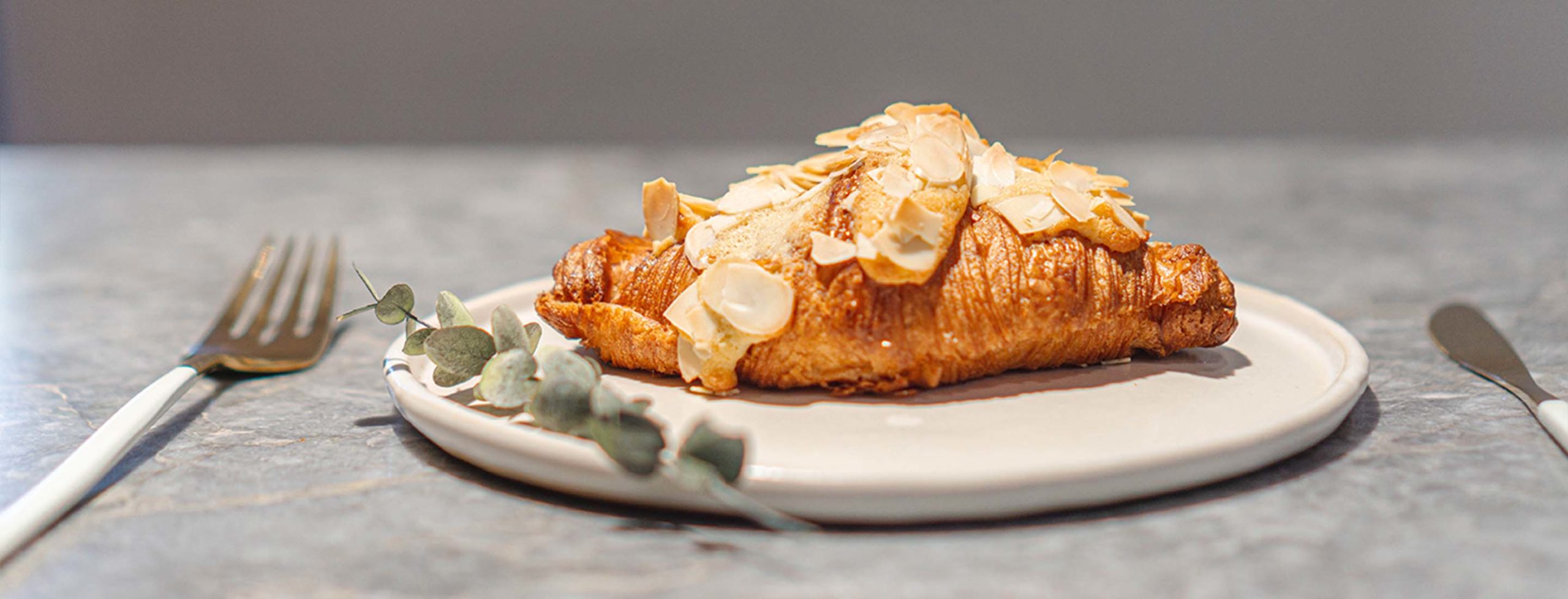 メインビジュアル1