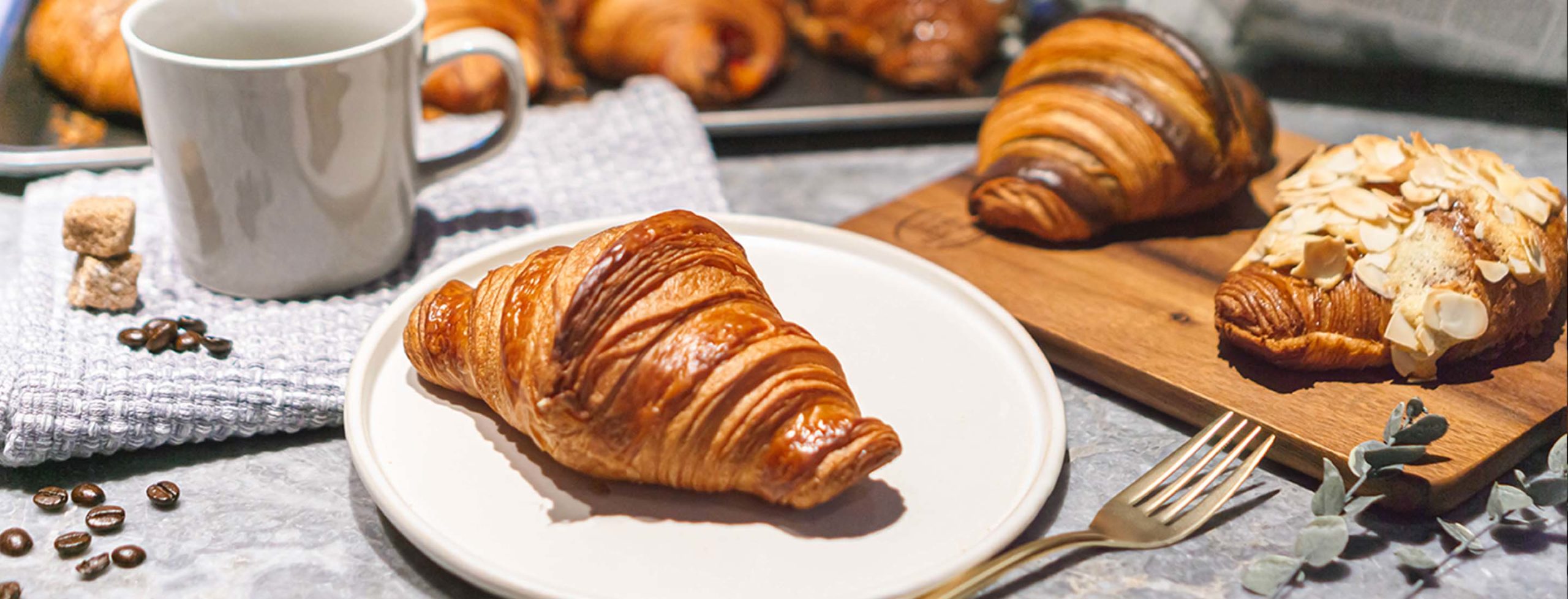 メインビジュアル3